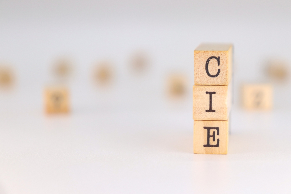 Community Information Exchange - image of building blocks spelling the acronym CIE.