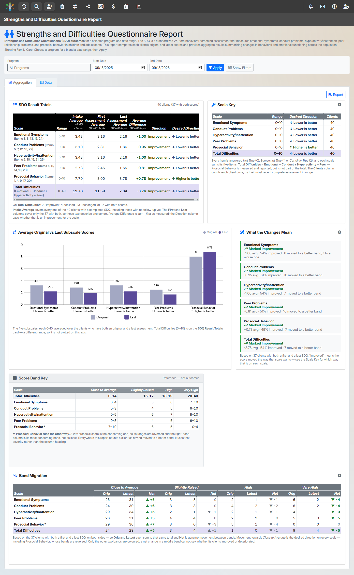 Strengths and Difficulties Questionnaire Report screenshot